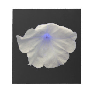 Bloco De Notas Notepad Azul Petunia