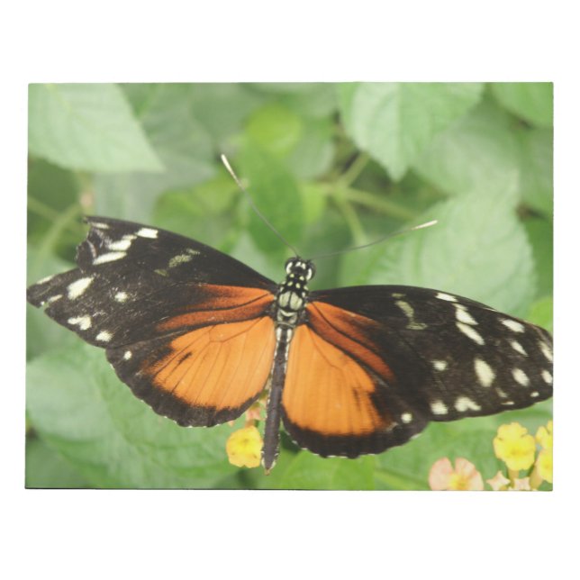 Bloco De Notas Notepad Borboleta Tiger Longwing (Frente)