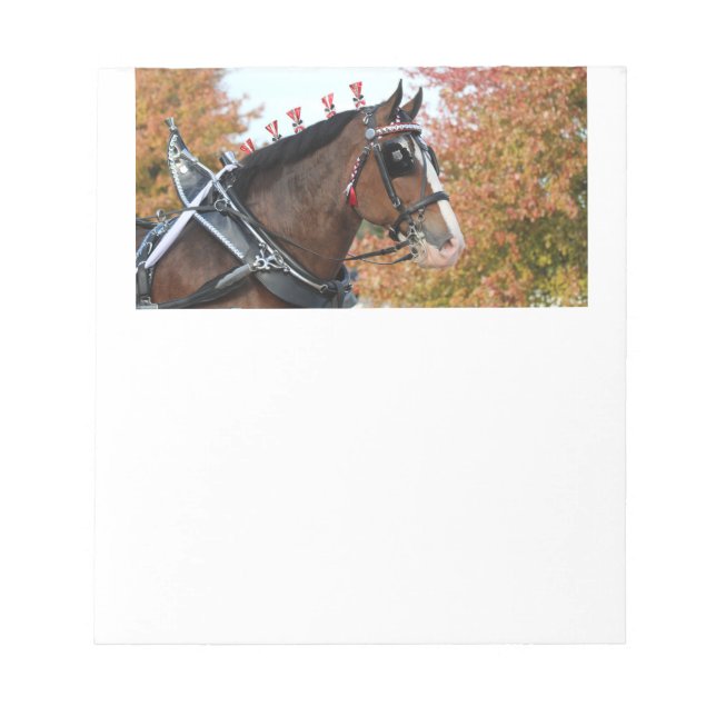 Bloco De Notas Notepad Cavalo Clydesdale (Frente)