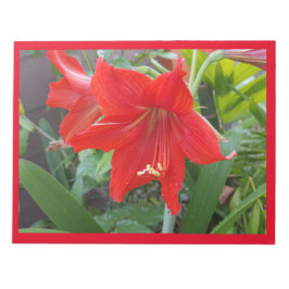 Bloco De Notas Notepad Com Flor Vermelho Grande E Brilhante