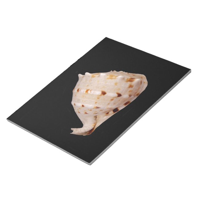 Bloco De Notas Notepad Conch Shell (Inclinado)