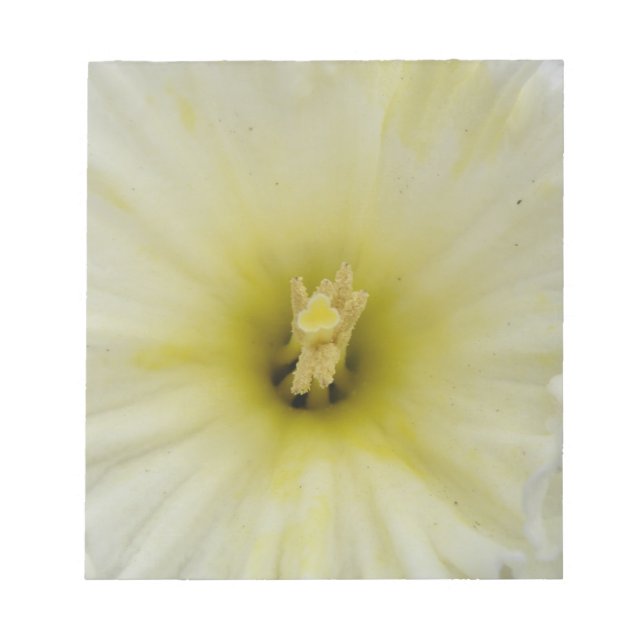 Bloco De Notas Notepad Daffodil Daffodil bonito (Frente)