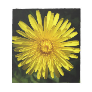 Bloco De Notas Notepad Dandelion