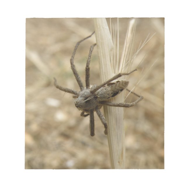 Bloco De Notas Notepad de aranha assustadora (Frente)