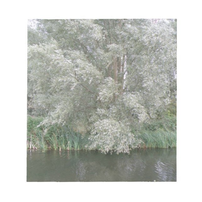 Bloco De Notas Notepad de Árvore Branca e Paisagem Fluvial (Frente)