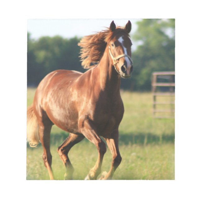 Bloco De Notas Notepad de Chestnut Galloping Horse (Frente)