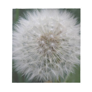 Bloco De Notas Notepad de Flor de Dandelion Sorrendo