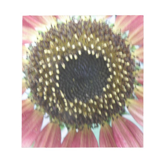 Bloco De Notas Notepad de girassol rosa bonito (Frente)