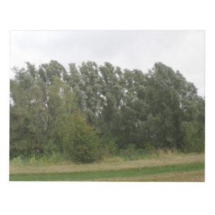 Bloco De Notas Notepad de Paisagem de Árvores de Manguarda