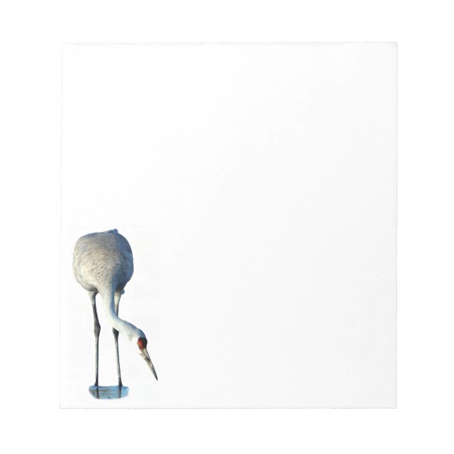 Bloco De Notas Notepad de Papel de Carta Sandhill Crane (Frente)