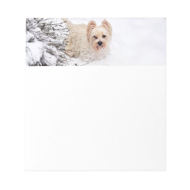 Bloco De Notas Notepad de Papel Escritório em Cães de Neve (Frente)