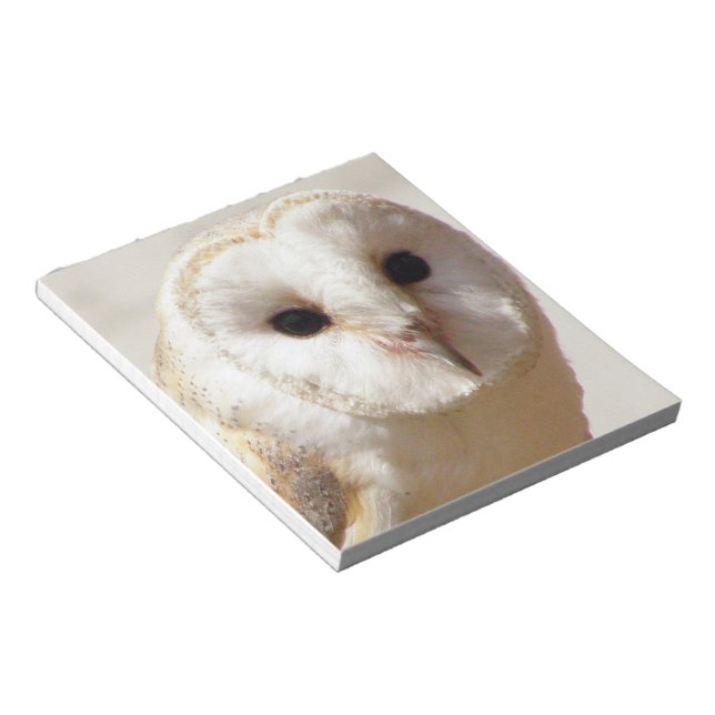 Bloco De Notas Notepad de Snowy Barn Owl (Inclinado)