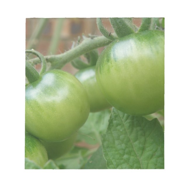 Bloco De Notas Notepad de Tomates Verdes (Frente)