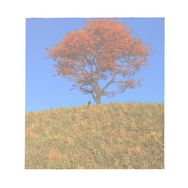 Bloco De Notas Notepad do Dia do Outono Limpo (Frente)