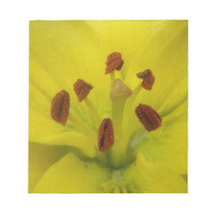 Bloco De Notas Notepad Floral Amarelo