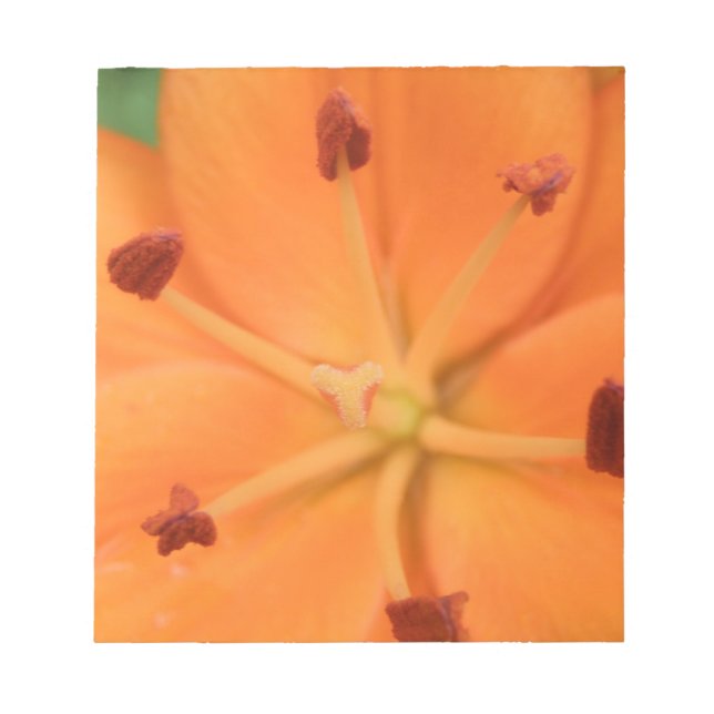 Bloco De Notas Notepad Floral Laranja Lily (Frente)