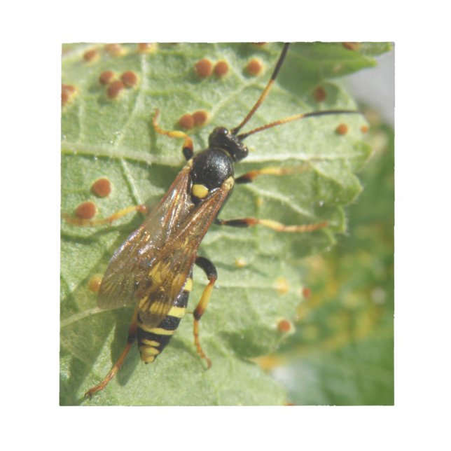Bloco De Notas Notepad Hoverfly (Frente)