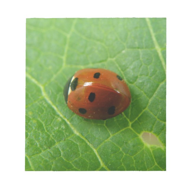 Bloco De Notas Notepad Ladybug (Frente)