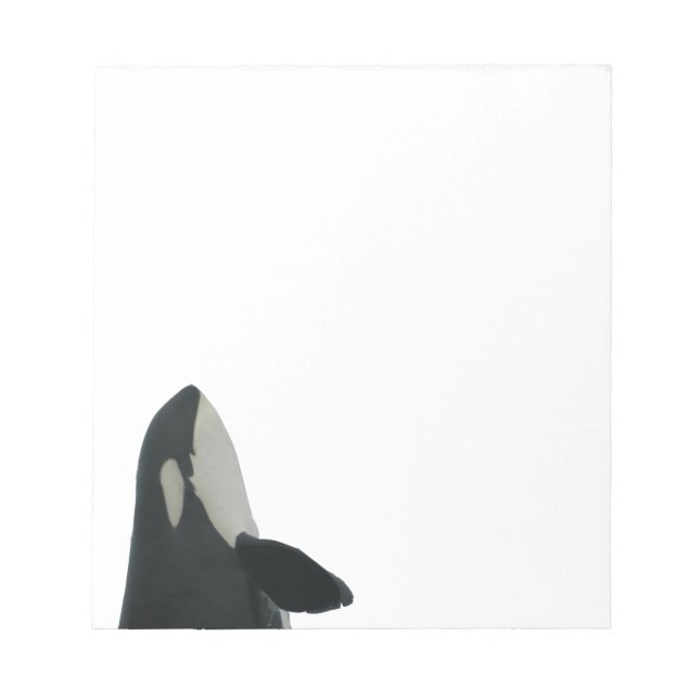 Bloco De Notas Notepad Orca Spyhopping (Frente)