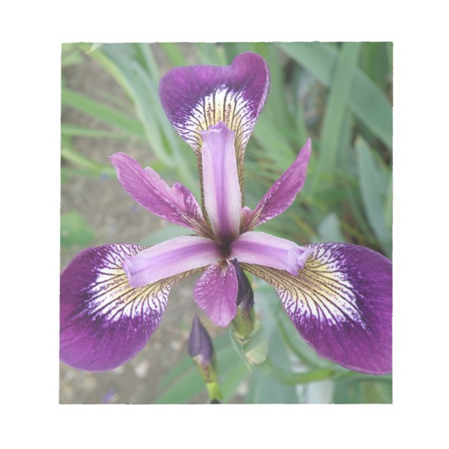 Bloco De Notas Notepad Roxo Iris (Frente)