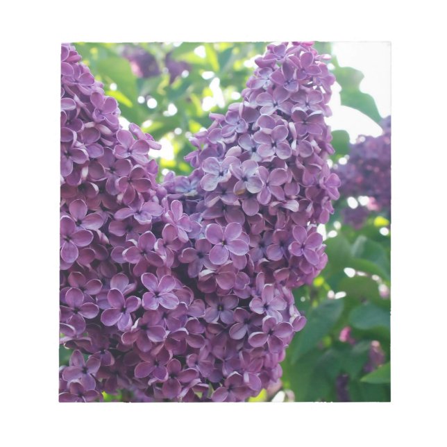 Bloco De Notas Notepad Roxo Lilacs (Frente)