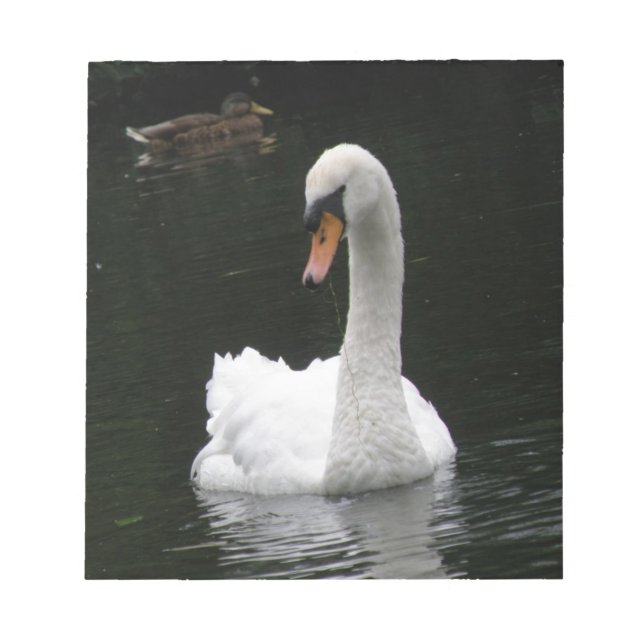 Bloco De Notas Notepad Swan Branco (Frente)