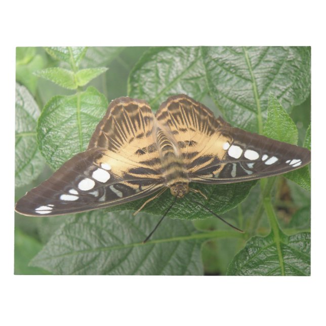 Bloco De Notas Notepad Tropical Clipper Butterfly bonito (Frente)
