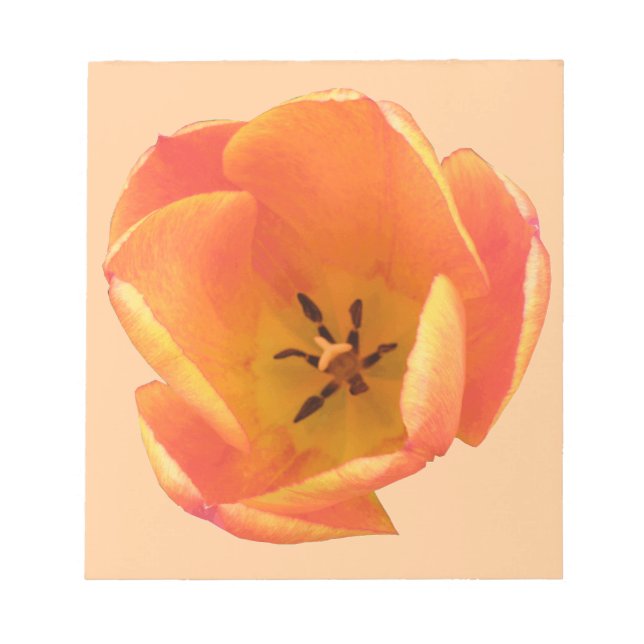 Bloco De Notas Notepad Tulip Laranja (Frente)