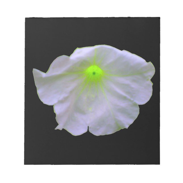 Bloco De Notas Notepad Verde Petunia (Frente)