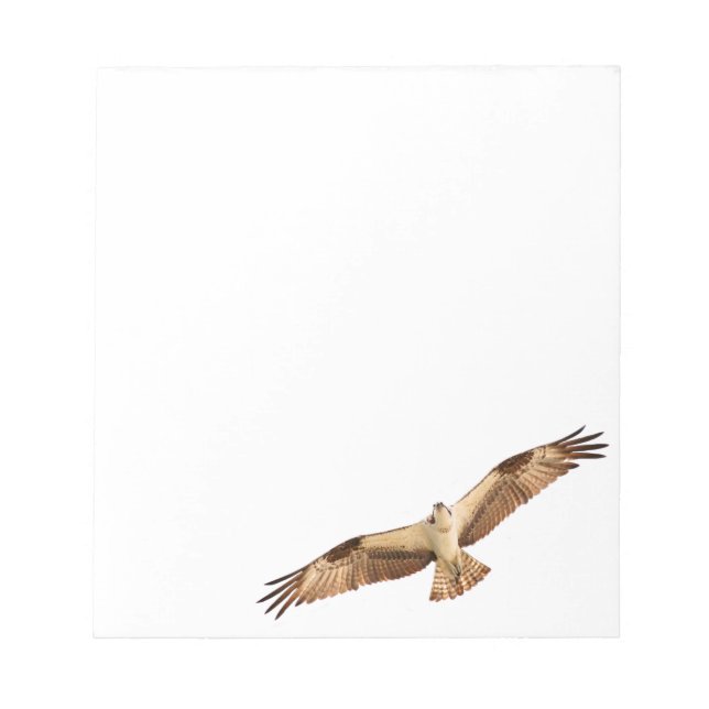 Bloco De Notas Notepad Voador Hawk (Frente)