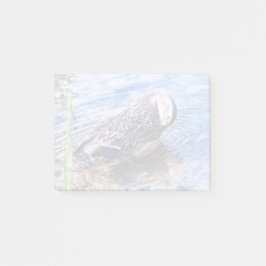 Bloco De Notas O efeito de alvoroço