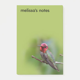 Bloco De Notas O espantoso Hummingbird de Anna na árvore da Fruta