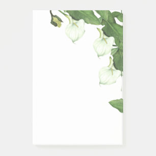 Bloco De Notas O lírio de Calla branco do vintage floresce notas