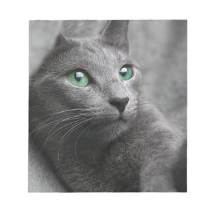 Bloco De Notas O olhar azul do russo do gato Eyes o animal de