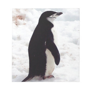 Bloco De Notas O Pinguim Mais Fofo, de Todos os Tempos