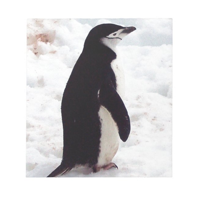 Bloco De Notas O Pinguim Mais Fofo, de Todos os Tempos (Frente)