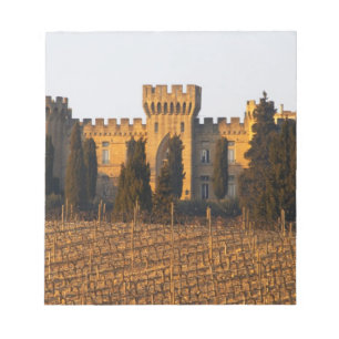 Bloco De Notas O vinhedo com videiras syrah e o castelo