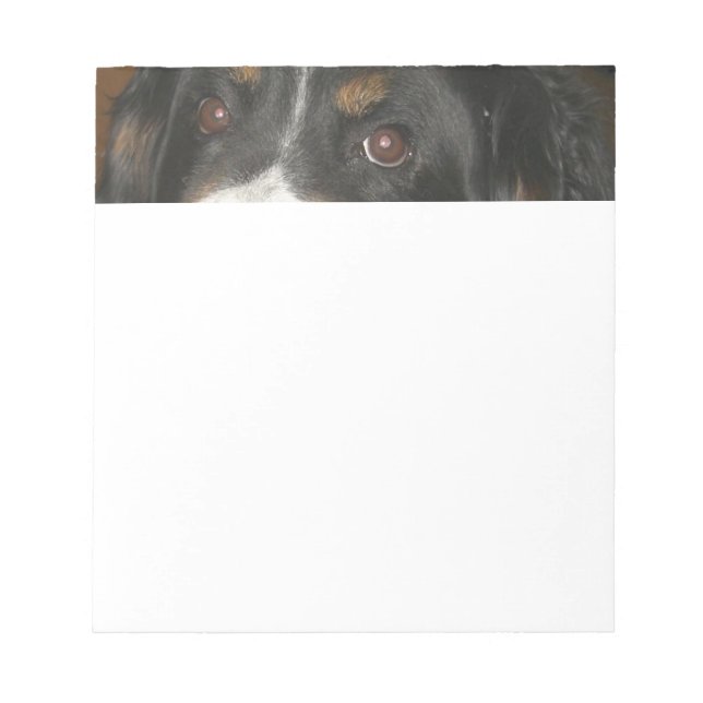 Bloco De Notas Olhos de Cão de Montanha Bernês (Frente)