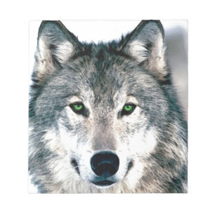 Bloco De Notas Olhos de Lobo estampa de animal da natureza selvag