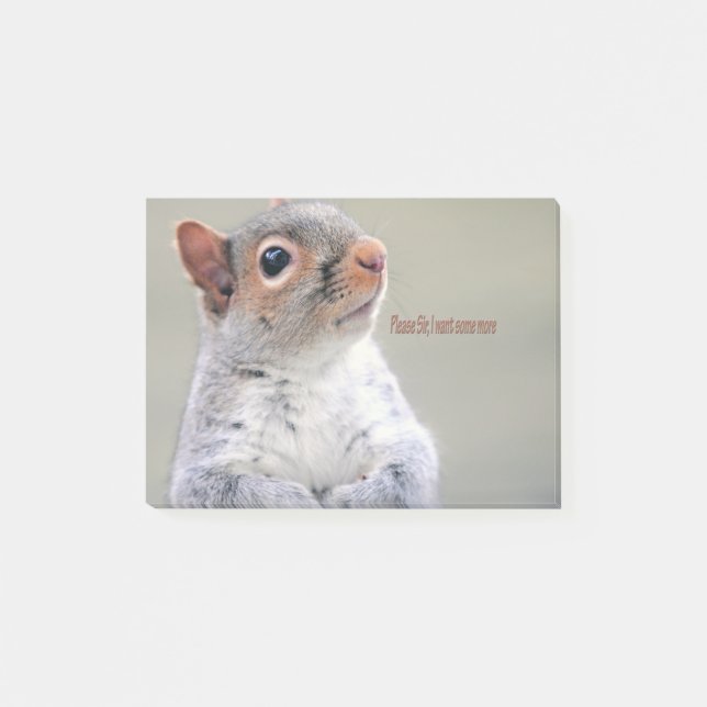 Bloco De Notas Oliver Twist Squirrel (Frente)