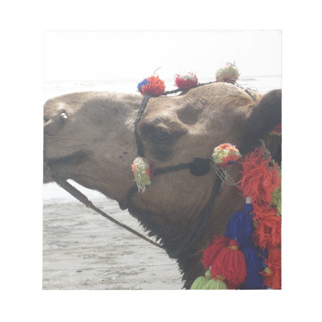 Bloco De Notas Oman Muscat Camel Photo Art Impressão (Frente)