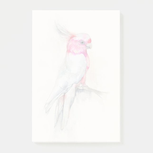 Bloco De Notas Ópera Cockatoo (Frente)