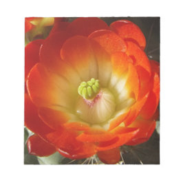 Bloco De Notas Orange-Cactus-flower