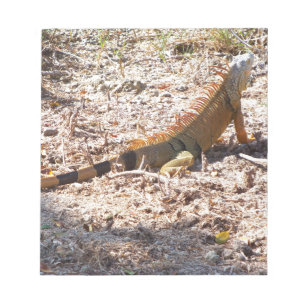 Bloco De Notas Orange Iguana caça