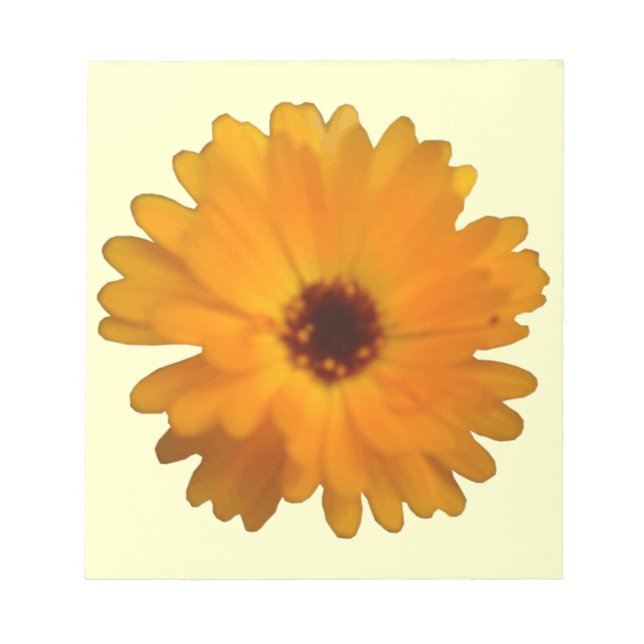 Bloco De Notas Orange Marigold Notepad (Frente)