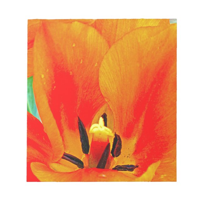 Bloco De Notas Orange Tulip (Frente)