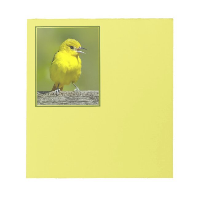 Bloco De Notas Orchard Oriole - Fotografia Original (Frente)