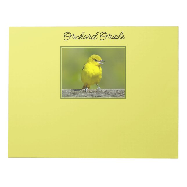 Bloco De Notas Orchard Oriole - Fotografia original (Frente)