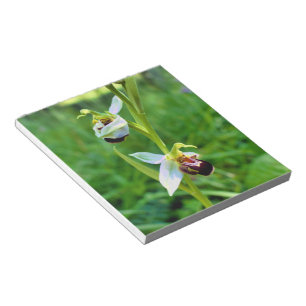 Bloco De Notas Orquídea de abelhas