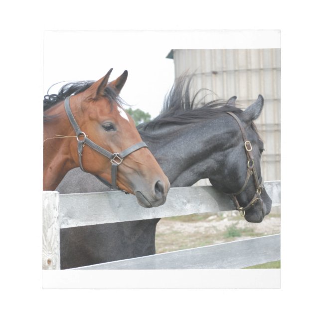 Bloco De Notas Os Cavalos do Amor (Frente)